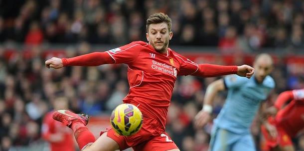 庭的新宠 庭的新宠