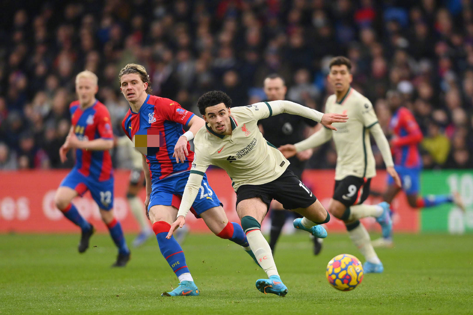 在失败的比 在失败的比